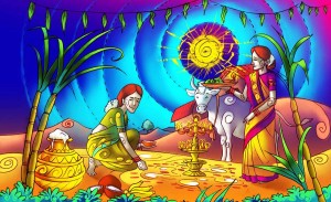 pongal festival 1