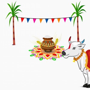 pongal festival 6